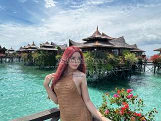 trans girl Farahfox 8908459 trans girl Farahfox 8908459