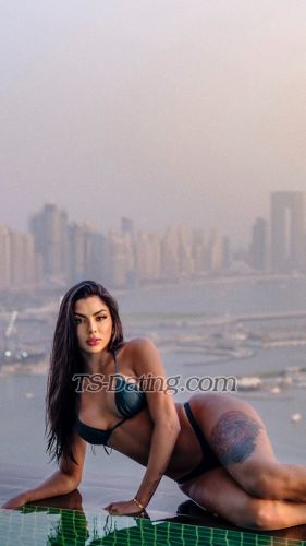 trans girl Fezinha 3436461 trans girl Fezinha 3436461