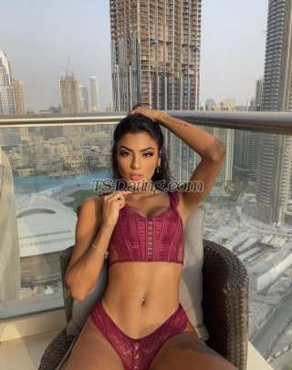 trans girl Fezinha 9229683 trans girl Fezinha 9229683