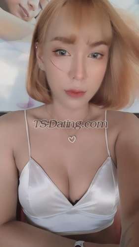 trans girl Focuszim1510 7754863