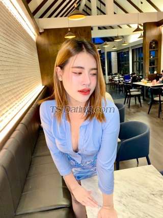 trans girl Fonpoy 6219540 trans girl Fonpoy 6219540