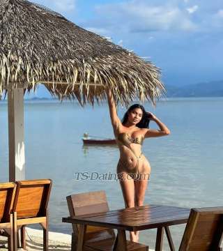 trans girl Framiizz 2033592 trans girl Framiizz 2033592