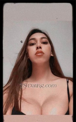 trans girl Freetop69 8702715 trans girl Freetop69 8702715