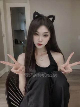 trans girl feier 6623763 trans girl feier 6623763