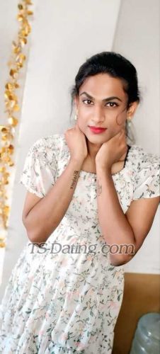 trans girl GabYtrans girl 7346875