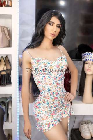 trans girl GabrielaMass 5183415 trans girl GabrielaMass 5183415