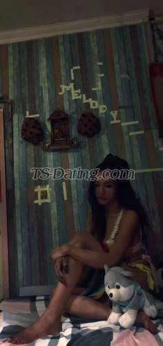 trans girl Galexy 3456250 trans girl Galexy 3456250