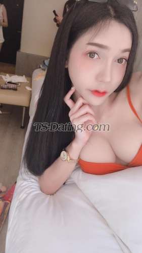 trans girl Gamess 1895923 trans girl Gamess 1895923