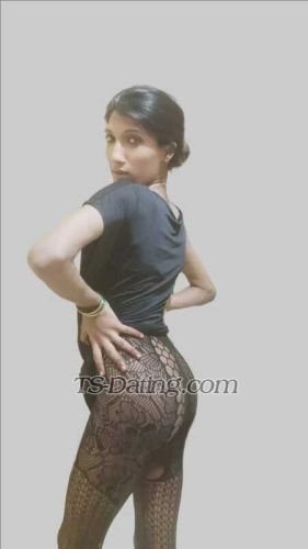 trans girl Gayutrans 8195260