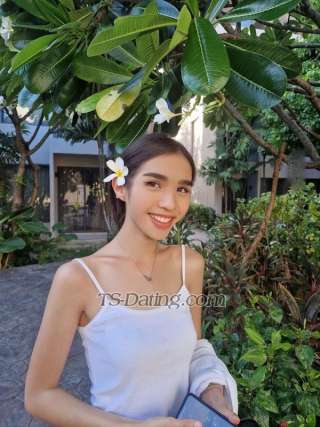 trans girl Gegee1995 8958504 trans girl Gegee1995 8958504