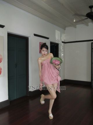 trans girl Geniegiselle 8051823 trans girl Geniegiselle 8051823