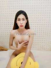 Getzy Koh samui Transex My Name  Getzy
I'm a ladyboy can top and bottom 
I
love travelling and meeting new people.
I live in koh
samui chaweng 
Line ID   getsmile2015
WhatsApp
+66895893554
Instagram  get_napatchanan
 Who come to
Thailand and want to find new friends I can go and enjoy you
throughout the trip I can be friends, eat, drink, party
throughout your stay in Thailand. 

 I can move to
another country with who love me and really want me 