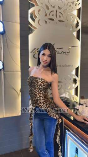 trans girl Gina15 1624337 trans girl Gina15 1624337