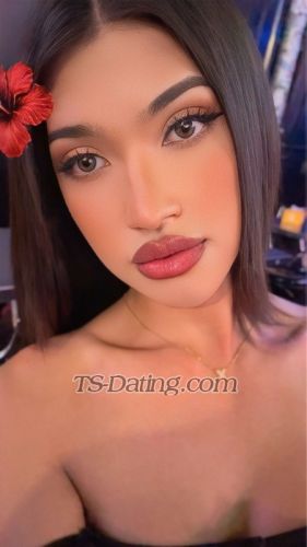 trans girl Gina15 3836759 trans girl Gina15 3836759