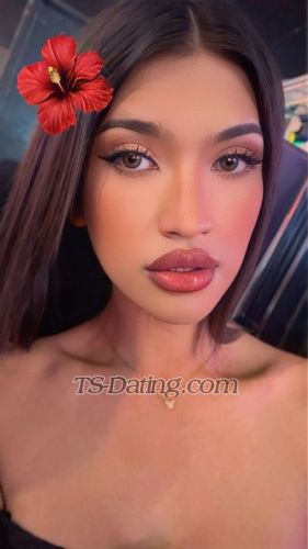 trans girl Gina15 3836773 trans girl Gina15 3836773