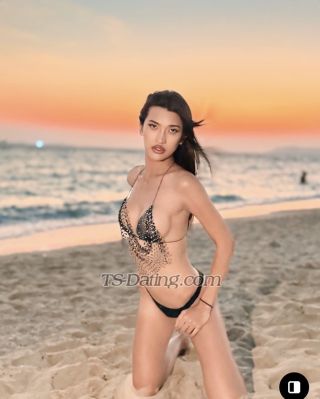 trans girl Gina15 5572127 trans girl Gina15 5572127