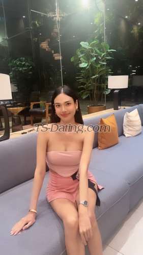 trans girl Gina3001 3218951 trans girl Gina3001 3218951