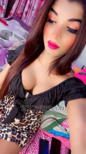 trans girl Ginie 8369980 trans girl Ginie 8369980