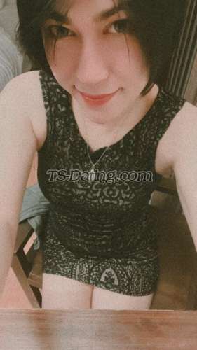 trans girl Gisca88 9948525 trans girl Gisca88 9948525