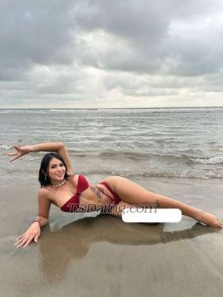 trans girl GisellTorres 8376454 trans girl GisellTorres 8376454