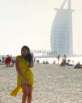 trans girl Giulytx 6989347 trans girl Giulytx 6989347