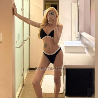 trans girl Gmail699 2033814 trans girl Gmail699 2033814