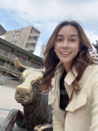 trans girl Guitar55 8536106 trans girl Guitar55 8536106