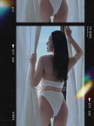 trans girl Gybzabkk 8750055 trans girl Gybzabkk 8750055