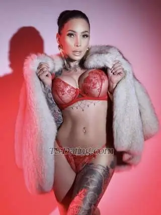 Shemale gabymanzini 9993086 Shemale gabymanzini 9993086