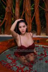 gracia Jakarta Transex Hii guys i am ready service i have seven inch almost

Pls join with him💋
+6285219526466
 My
onlyfans.com/babygracia16
