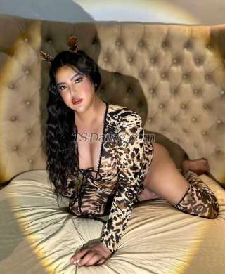 trans girl HOLYMASSIVE 2595772 trans girl HOLYMASSIVE 2595772