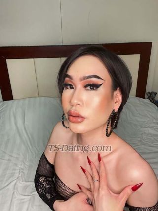 trans girl Haifa69 4168303