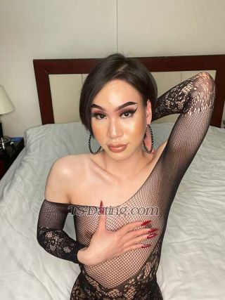 trans girl Haifa69 4168323