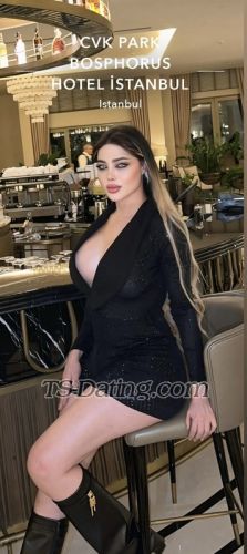 trans girl HaifaSoltani 4312541
