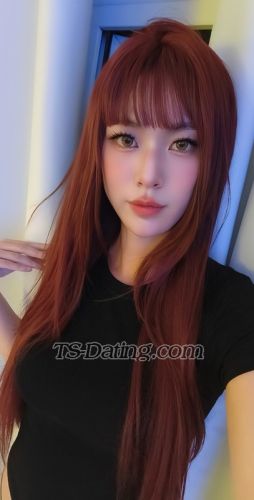 trans girl HanHan 5711337