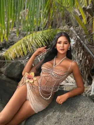 Shemale Hide2545 3317080