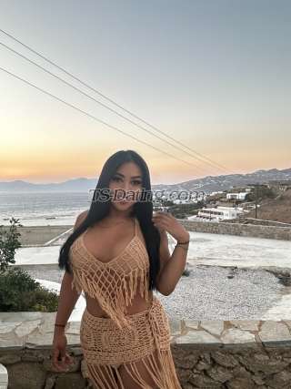 trans girl Holly10 3061733 trans girl Holly10 3061733