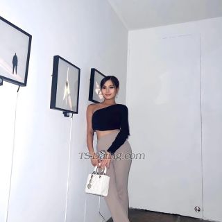 trans girl Hollyzoe 8025456 trans girl Hollyzoe 8025456