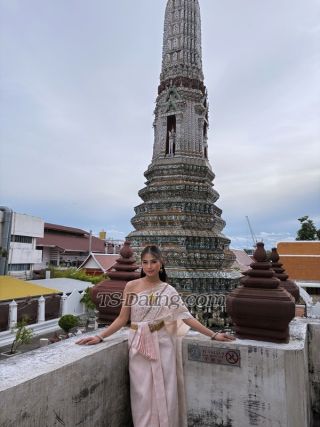 trans girl Hollyzoe 8025521 trans girl Hollyzoe 8025521