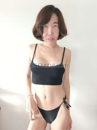 trans girl HoneyAnn 5217699 trans girl HoneyAnn 5217699
