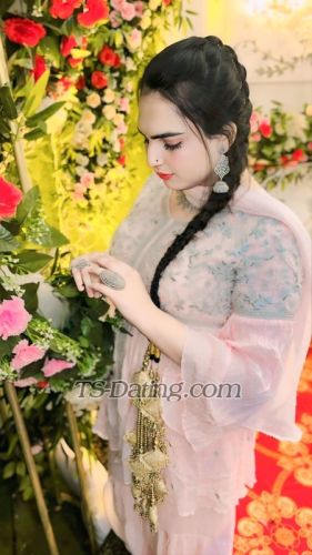 trans girl Honeybaby1 4458923 trans girl Honeybaby1 4458923