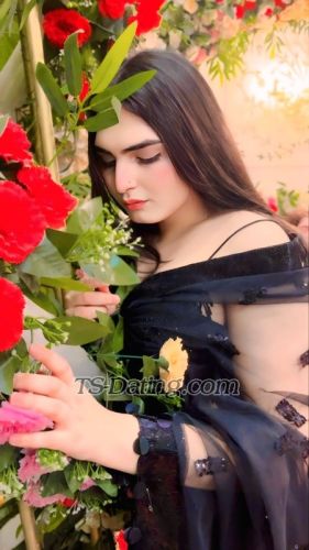 trans girl Honeybaby1 4458941 trans girl Honeybaby1 4458941