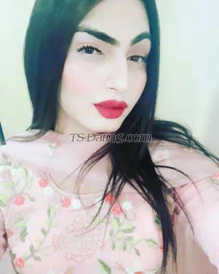 trans girl Honeybaby1 6204910