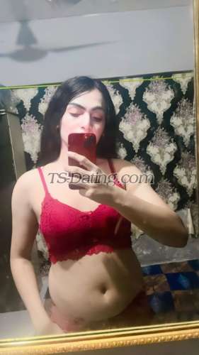 trans girl Honeybaby1 7247257