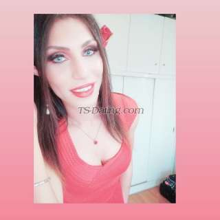 trans girl Horney4you 3625430 trans girl Horney4you 3625430