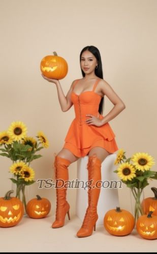 trans girl Hornytopangel 9640277 trans girl Hornytopangel 9640277