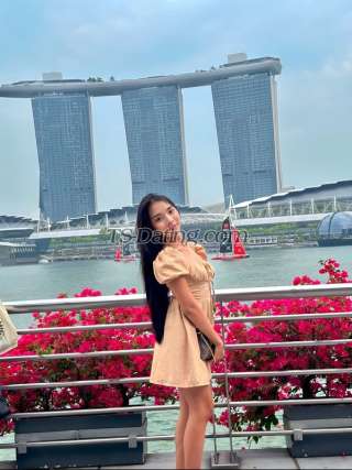 trans girl HotTSYiela 6155084 trans girl HotTSYiela 6155084