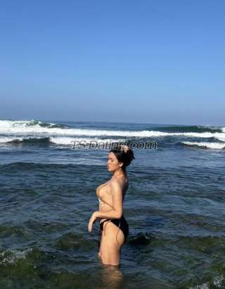 trans girl HotXPrecious 8167161 trans girl HotXPrecious 8167161