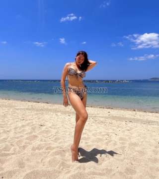 trans girl HotXPrecious 8167218 trans girl HotXPrecious 8167218