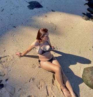 trans girl HotXPrecious 8169411 trans girl HotXPrecious 8169411